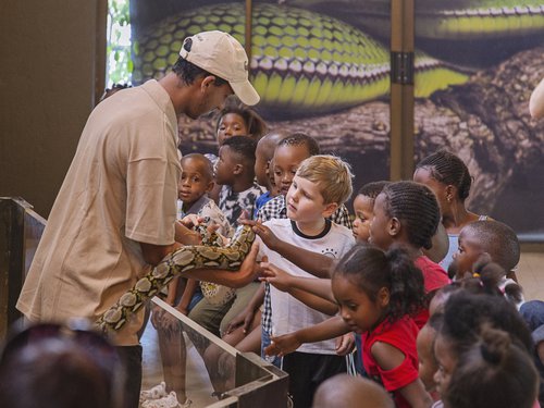 A man showing some children a Snake and letting them touch it. Children are enjoying the Le Bonheur reptile farm