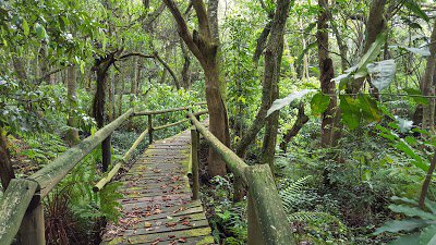 Glenholme nature reserve | Durban | Kids Activities and excursions