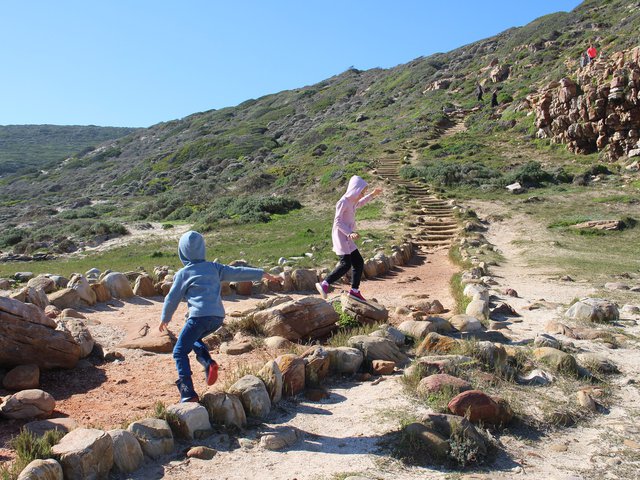 Rediscover the enchantment of Cape Point
