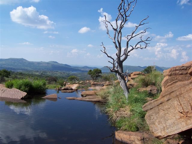 Picnic Spots | Pretoria | Things to do with Kids
