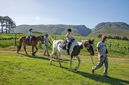 A group of children riding a horse on the Stanford Hills Estate. A family friendly venue for children to partake in exciting activities
