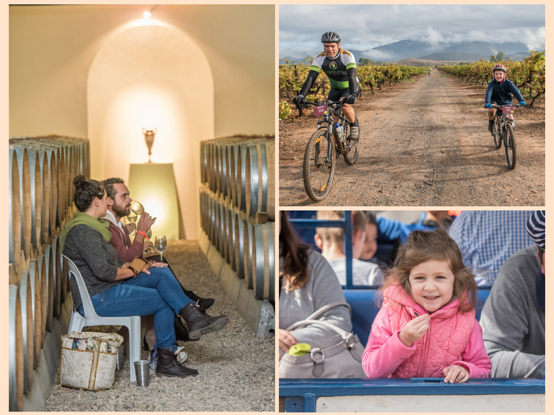 Robertson Family Friendly Wine Farms + Festivals| Things to do with kids
