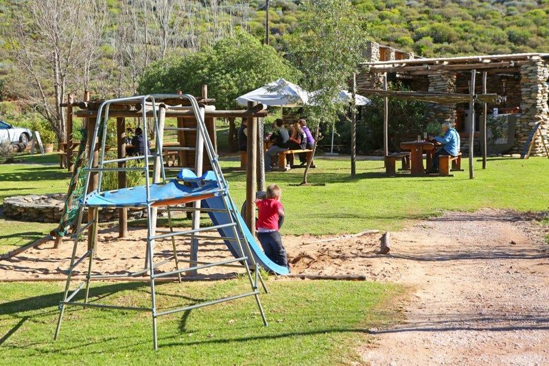 Robertson Activities| Family Getaways + Excursions | Things to do With Kids