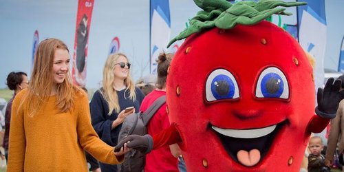 Strawberry Festival 2019 | George | Event and activities