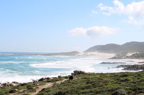 Rediscover the enchantment of Cape Point | Blog | things to do With Kids
