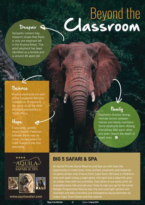 Beyond the classroom: Learn about Elephants | Blog | Things to do With Kids Spring magazine
