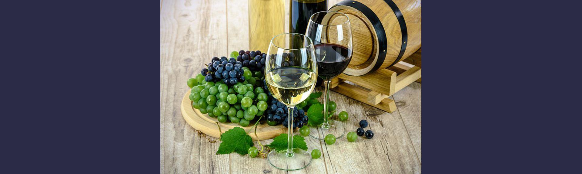 Paul Cluver Wines | Elgin | Wine Estate