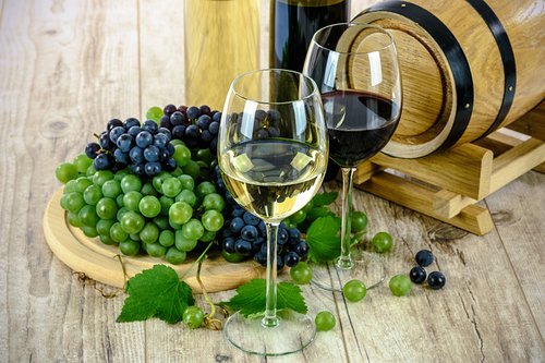 Paul Cluver Wines | Elgin | Wine Estate